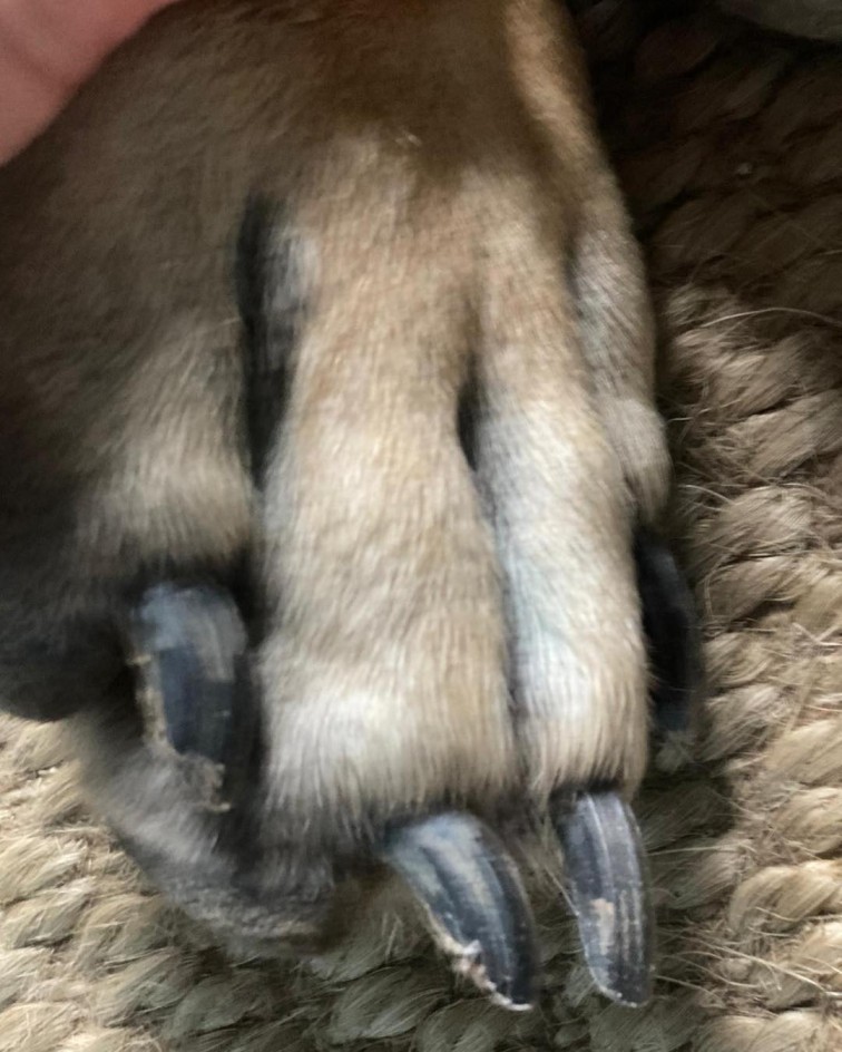 Po